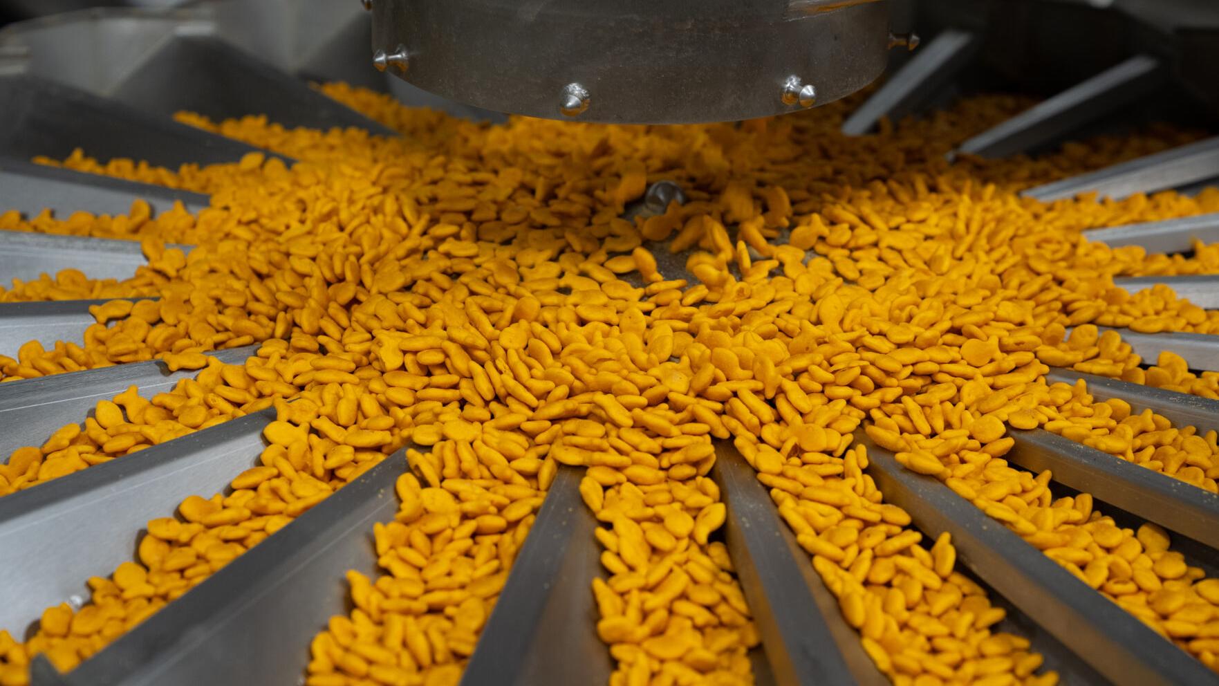 Campbell’s plant continues to reap benefits of flour mill, bakery expansion